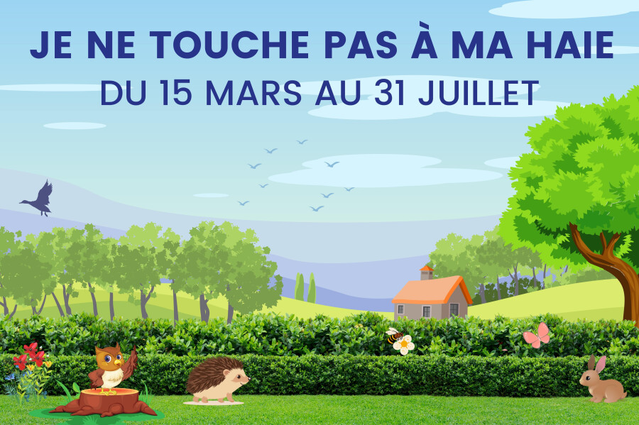 Je touche pas à ma haie ...Pensez aux oiseaux !