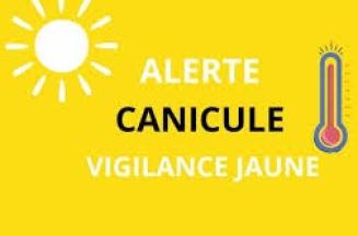 Alerte canicule