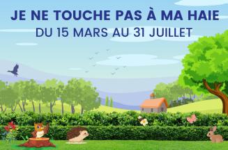 Pensez aux oiseaux